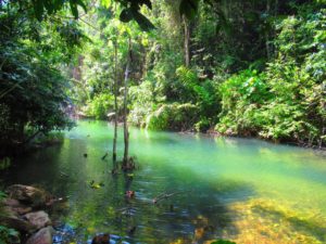 Koh Lanta jungle trails