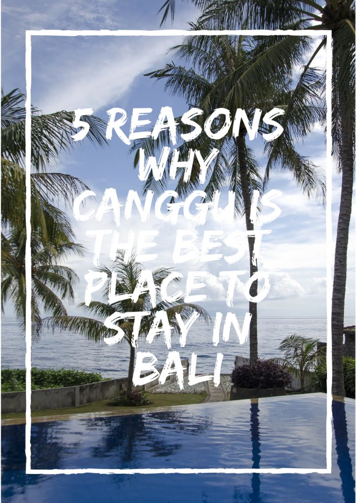 reasons to stay in Canggu